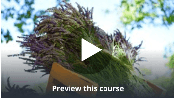 Free Aromatherapy Using Essential Oils Introductory Course Udemy